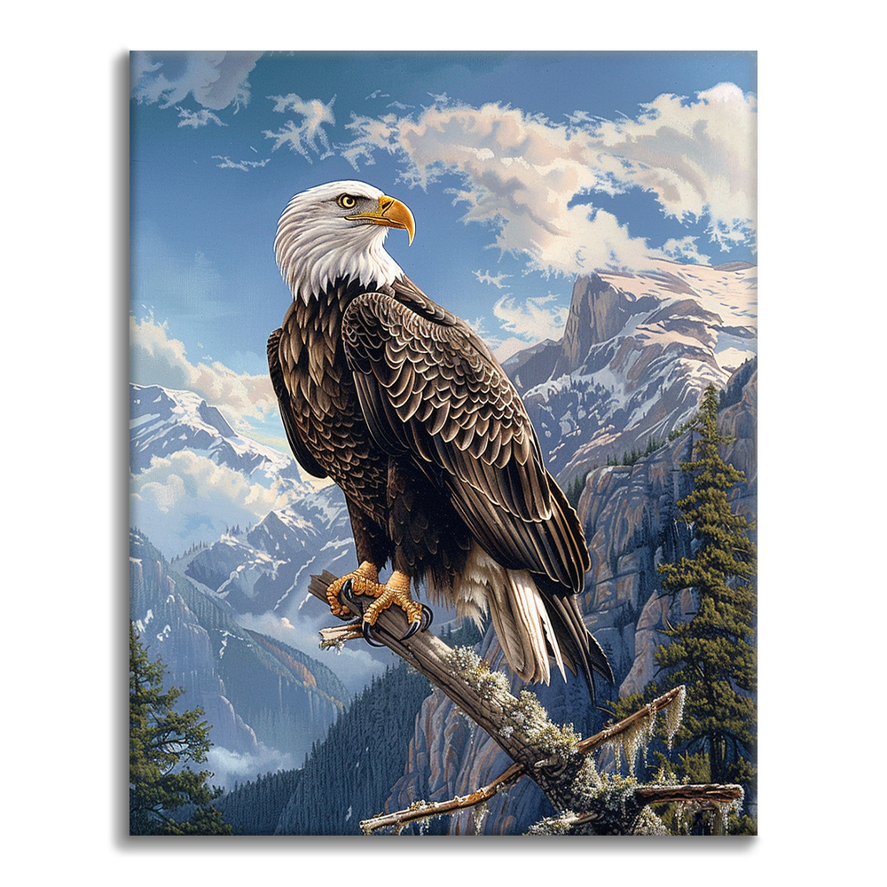 Bald Eagle - Paint by Numbers