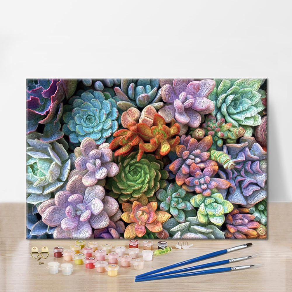 Succulents - Paint by Numbers