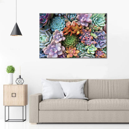 Succulents - Paint by Numbers